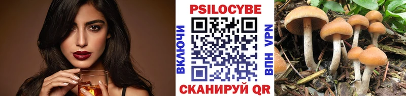 Галлюциногенные грибы Magic Shrooms  Купить где  Сясьстрой 
